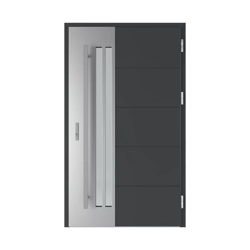 Leimen 5 entry-doors models-of-door-fillings steel 