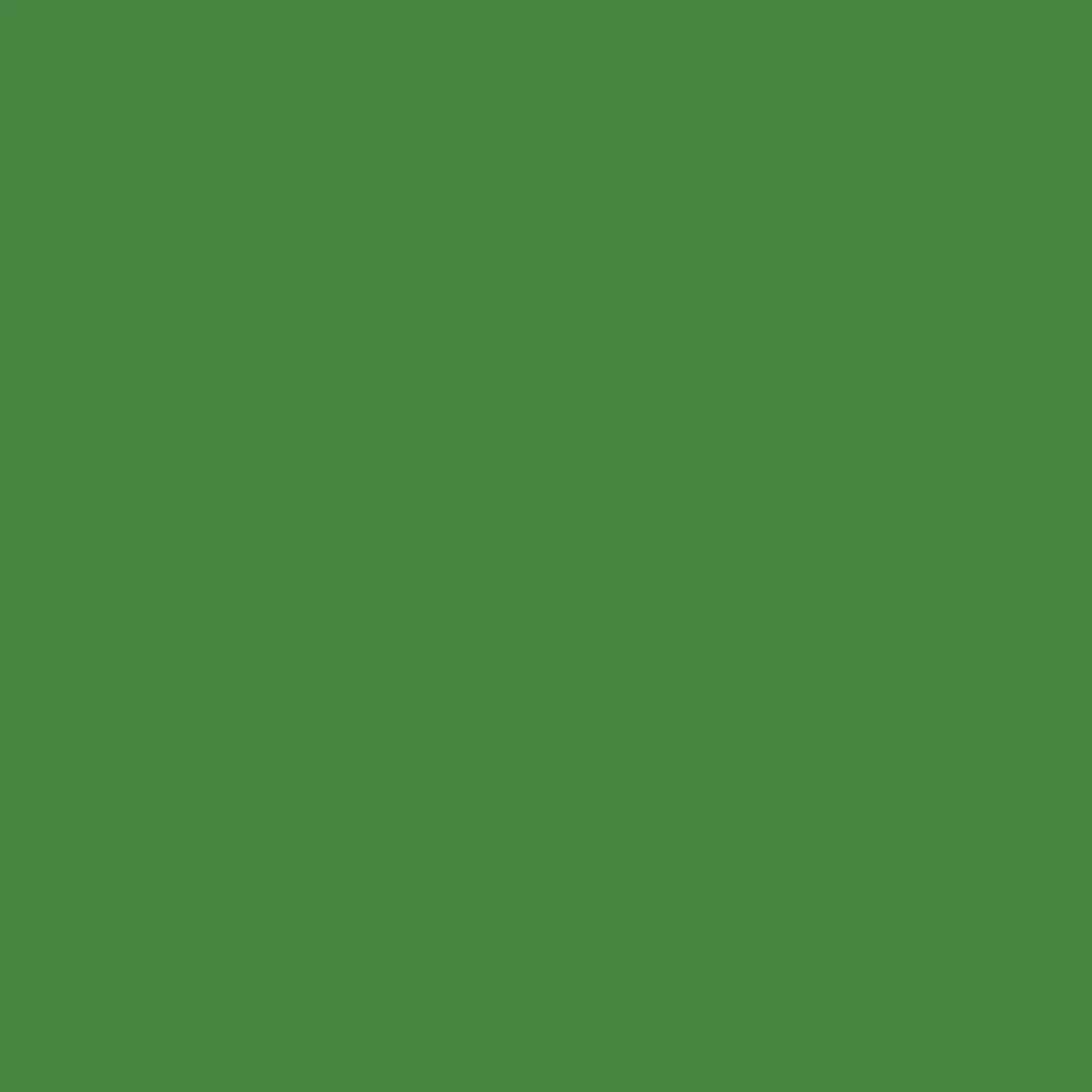 RAL 6017 May green windows window-color aluminum-ral ral-6017-may-green texture