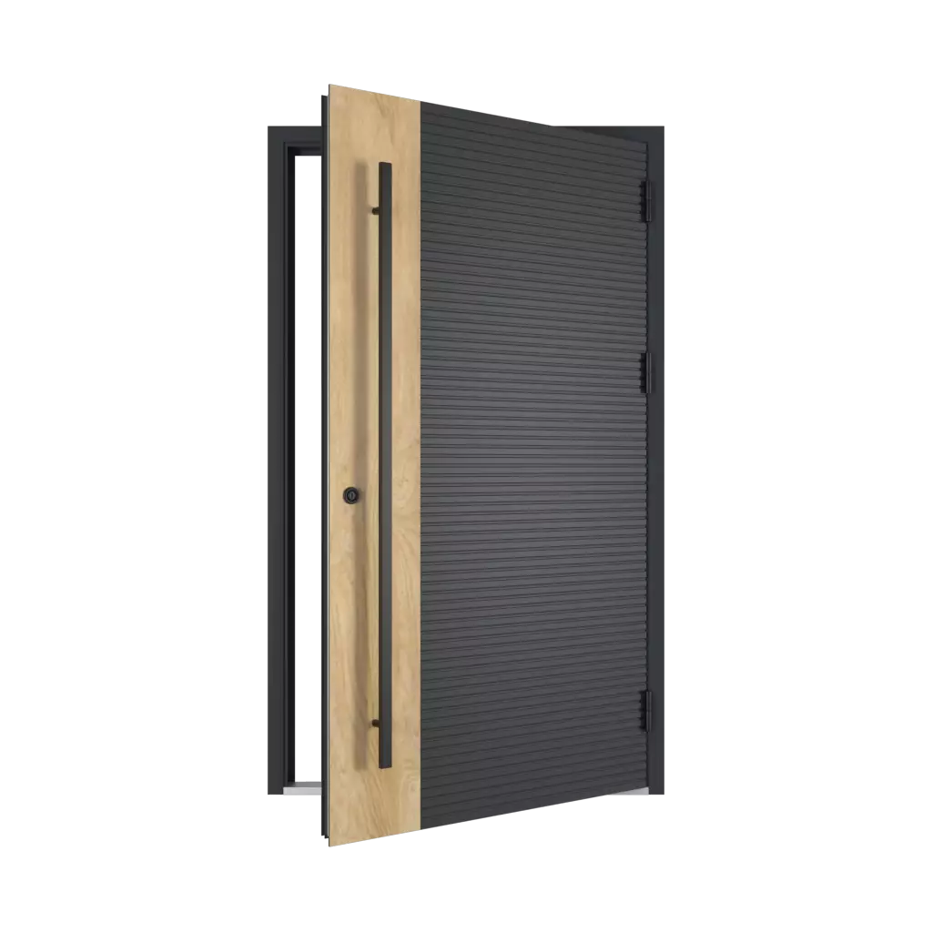 Aluminum entry doors products aluminum-entry-doors    